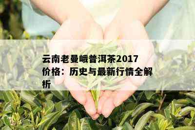 云南老曼峨普洱茶2017价格：历史与最新行情全解析