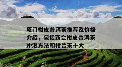 厦门柑皮普洱茶推荐及价格介绍，包括新会柑皮普洱茶冲泡方法和柑普茶十大