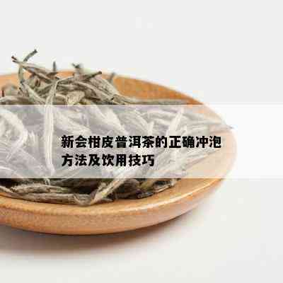 新会柑皮普洱茶的正确冲泡方法及饮用技巧