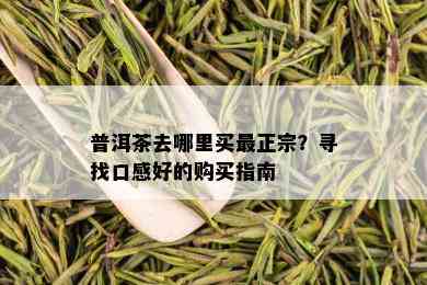 普洱茶去哪里买最正宗？寻找口感好的购买指南