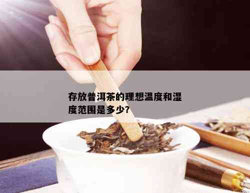 存放普洱茶的理想温度和湿度范围是多少？