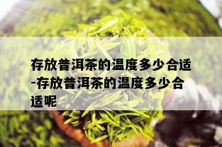 存放普洱茶的温度多少合适-存放普洱茶的温度多少合适呢