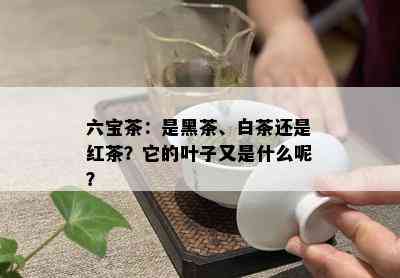 六宝茶：是黑茶、白茶还是红茶？它的叶子又是什么呢？