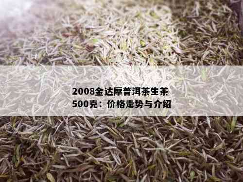 2008金达摩普洱茶生茶500克：价格走势与介绍