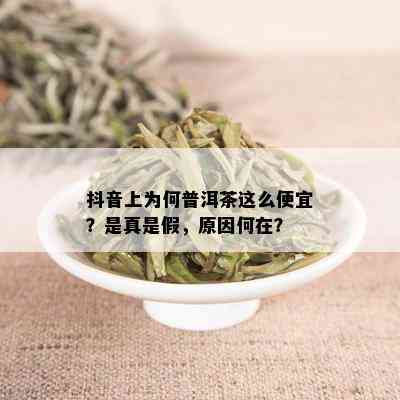 抖音上为何普洱茶这么便宜？是真是假，原因何在？