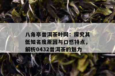 八角亭普洱茶叶网：探究其低知名度原因与口感特点，解析0432普洱茶的魅力