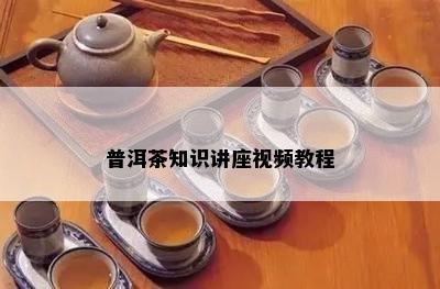 普洱茶知识讲座视频教程