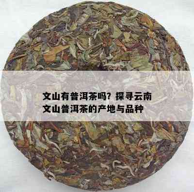 文山有普洱茶吗？探寻云南文山普洱茶的产地与品种