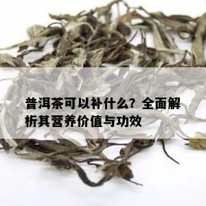 普洱茶可以补什么？全面解析其营养价值与功效