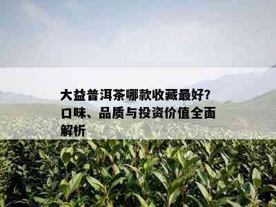 大益普洱茶哪款收藏更好？口味、品质与投资价值全面解析