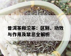 普洱茶和沱茶：区别、功效与作用及禁忌全解析