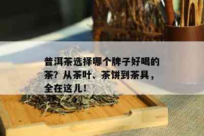 普洱茶选择哪个牌子好喝的茶？从茶叶、茶饼到茶具，全在这儿！