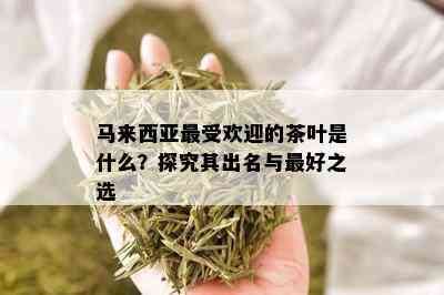 马来西亚更受欢迎的茶叶是什么？探究其出名与更好之选