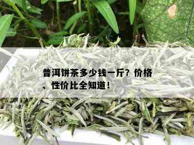 普洱饼茶多少钱一斤？价格、性价比全知道！