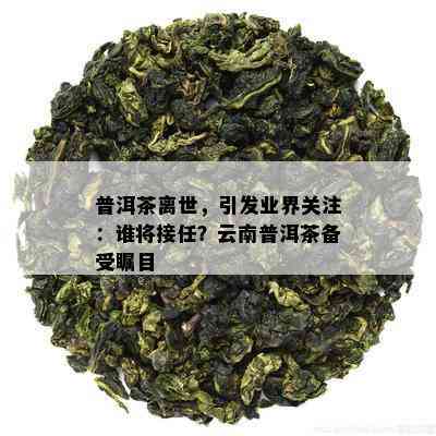 普洱茶离世，引发业界关注：谁将接任？云南普洱茶备受瞩目