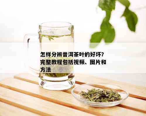 怎样分辨普洱茶叶的好坏？完整教程包括视频、图片和方法