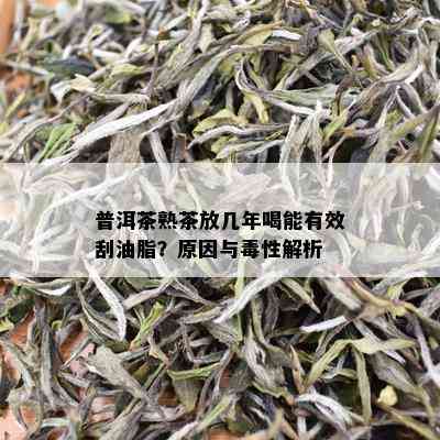 普洱茶熟茶放几年喝能有效刮油脂？原因与性解析