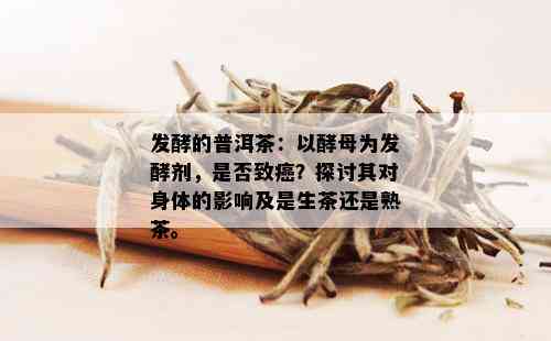 发酵的普洱茶：以酵母为发酵剂，是否致癌？探讨其对身体的影响及是生茶还是熟茶。