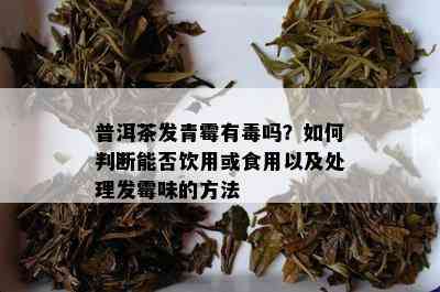 普洱茶发青霉有吗？如何判断能否饮用或食用以及处理发霉味的方法