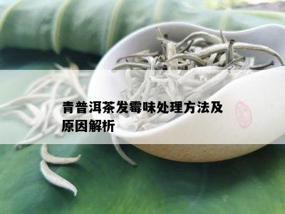 青普洱茶发霉味处理方法及原因解析