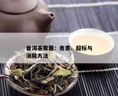 普洱茶霉菌：危害、超标与消除方法