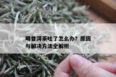 喝普洱茶吐了怎么办？原因与解决方法全解析