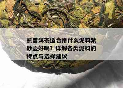 熟普洱茶适合用什么泥料紫砂壶好喝？详解各类泥料的特点与选择建议