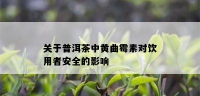 关于普洱茶中黄曲霉素对饮用者安全的影响