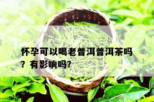 怀孕可以喝老普洱普洱茶吗？有影响吗？