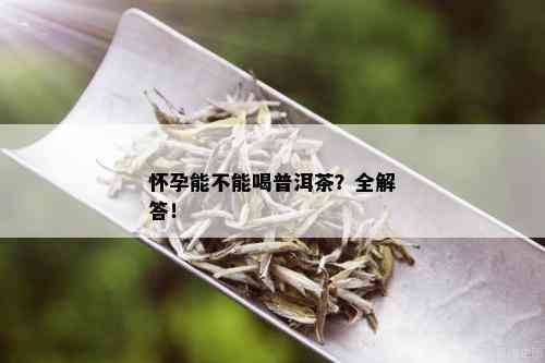 怀孕能不能喝普洱茶？全解答！