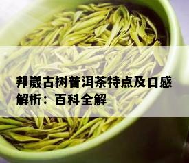 邦崴古树普洱茶特点及口感解析：百科全解