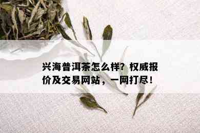 兴海普洱茶怎么样？权威报价及交易网站，一网打尽！