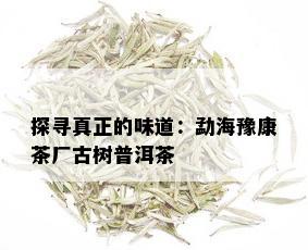 探寻真正的味道：勐海豫康茶厂古树普洱茶