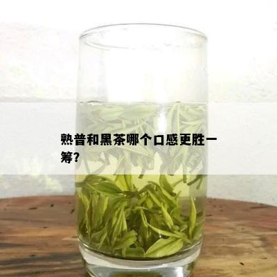 熟普和黑茶哪个口感更胜一筹？