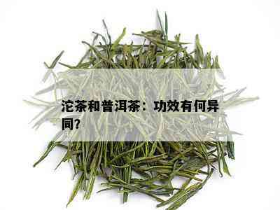 沱茶和普洱茶：功效有何异同？