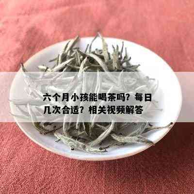 六个月小孩能喝茶吗？每日几次合适？相关视频解答