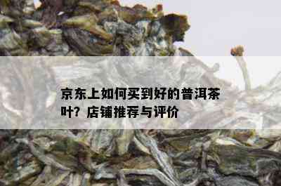 京东上如何买到好的普洱茶叶？店铺推荐与评价