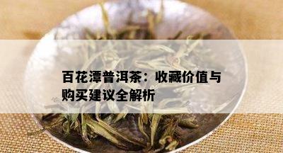 百花潭普洱茶：收藏价值与购买建议全解析