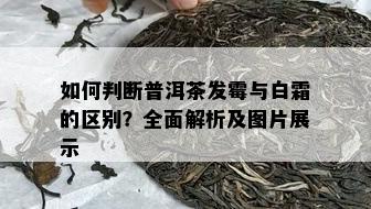 如何判断普洱茶发霉与白霜的区别？全面解析及图片展示