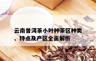 云南普洱茶小叶种茶区种类、特点及产区全面解析