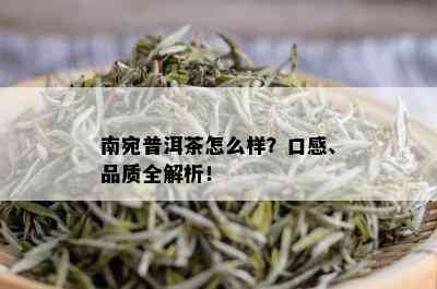 南宛普洱茶怎么样？口感、品质全解析！