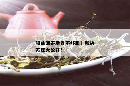 喝普洱茶后胃不舒服？解决方法大公开！