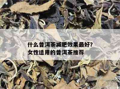 什么普洱茶减肥效果更好？女性适用的普洱茶推荐