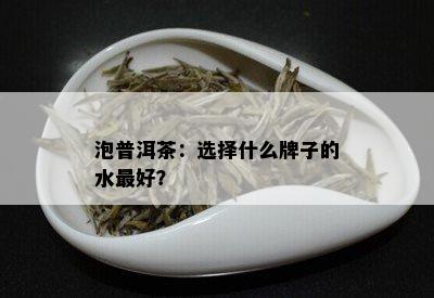 泡普洱茶：选择什么牌子的水更好？