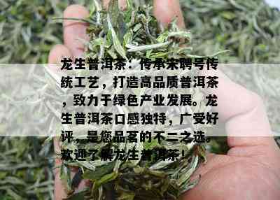 龙生普洱茶：传承宋聘号传统工艺，打造高品质普洱茶，致力于绿色产业发展。龙生普洱茶口感独特，广受好评，是您品茗的不二之选。欢迎了解龙生普洱茶！