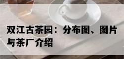 双江古茶园：分布图、图片与茶厂介绍