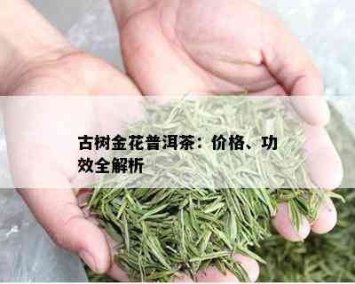 古树金花普洱茶：价格、功效全解析