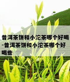 普洱茶饼和小沱茶哪个好喝-普洱茶饼和小沱茶哪个好喝些