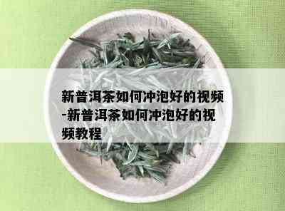 新普洱茶如何冲泡好的视频-新普洱茶如何冲泡好的视频教程