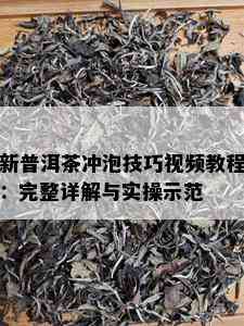 新普洱茶冲泡技巧视频教程：完整详解与实操示范